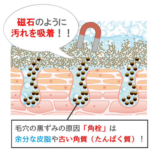 炭酸はたんぱく質に吸着する特性がある